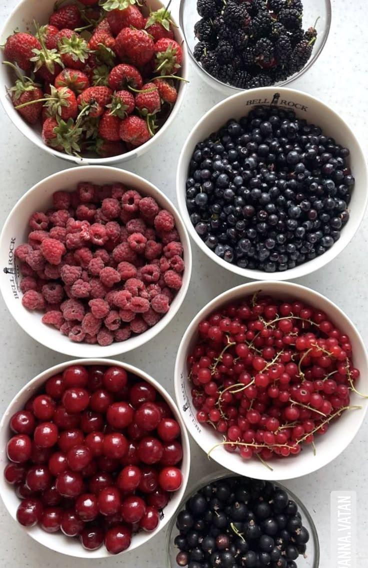 Berry Harvest Medley: Freshness in Every Bite
